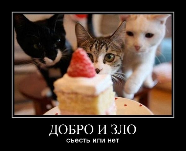 Съесть или нет?