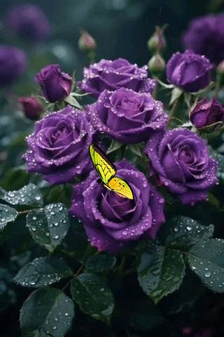 file_100905244