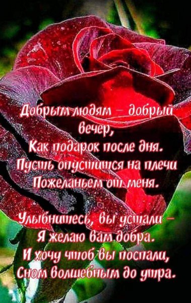 Screenshot 2024-02-19-04-51-04-671 com.facebook.katana-edit