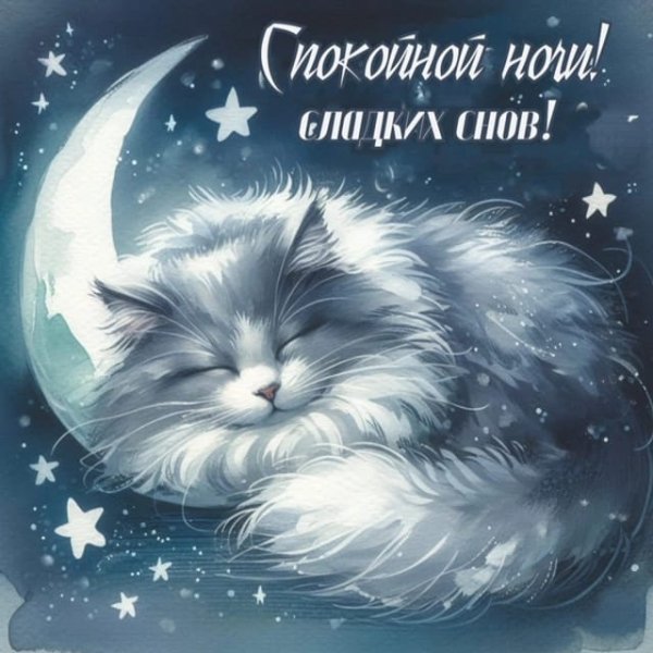 IMG-20241106-WA0030