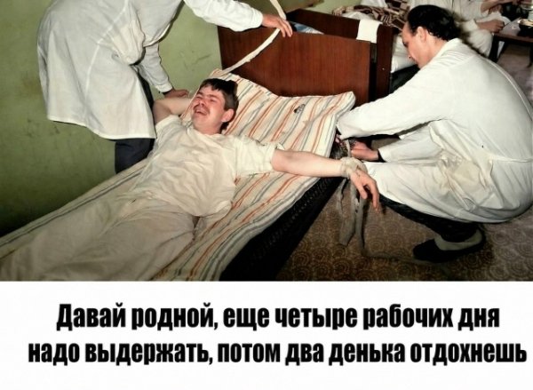 file_103249112