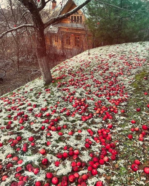 file_95137856