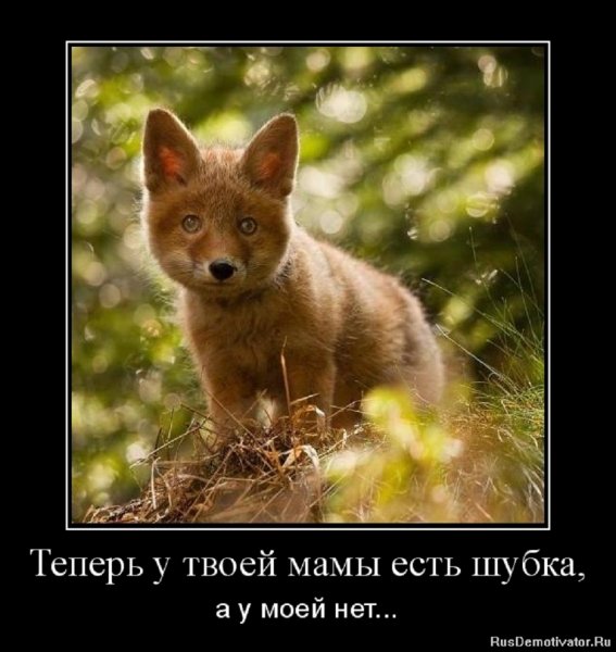 Да уж...