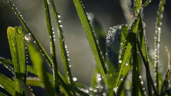 file_84088151