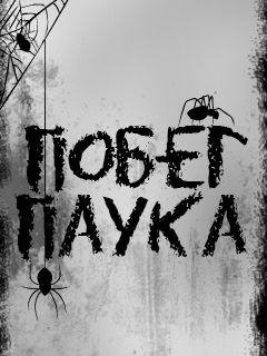 Escape Spider
