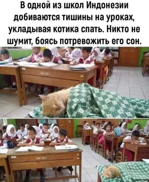 IMG 20260221 131725