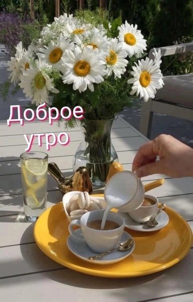 IMG-20260822-WA0004