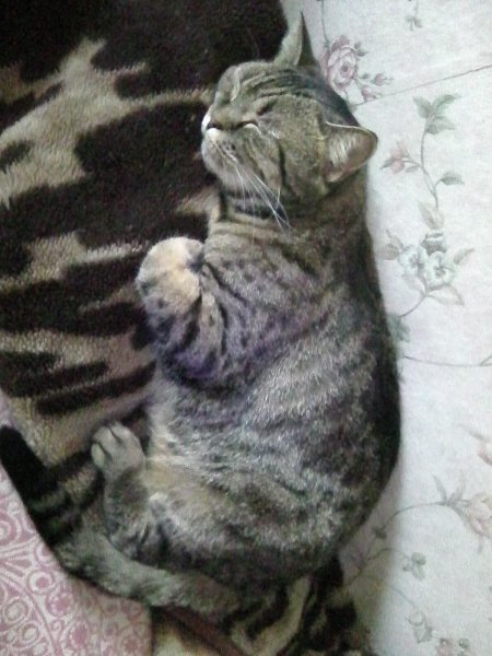 Photo0169