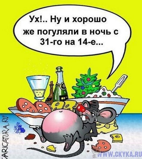 хорошо погуляли