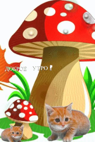 file_76438889