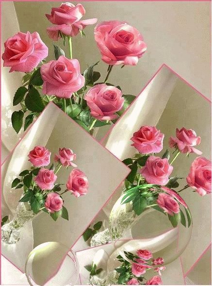 f492f36764d4915d8aafdd742b64110e