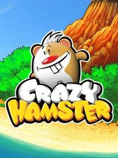 crazy hamster