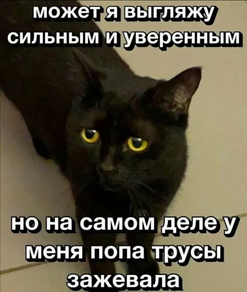 file_103349620