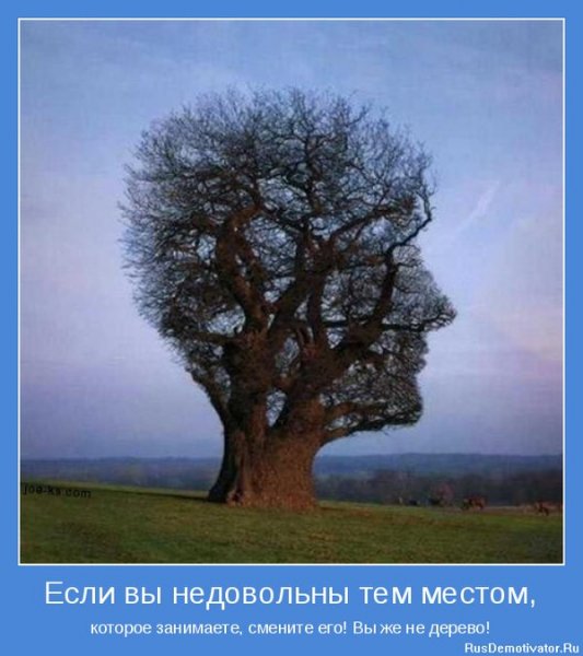 ij4sovbkd65xtle3