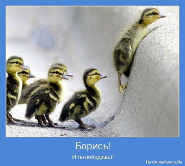 Борись...