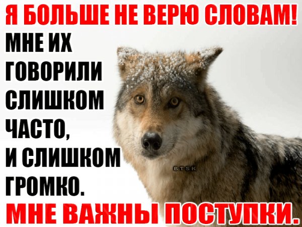 IMG 20190710 122527