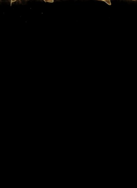 file_60781068