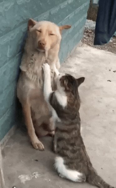 ))