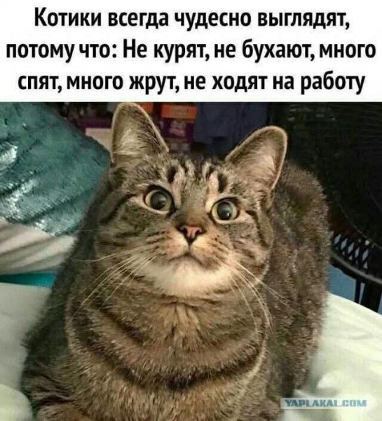 FB IMG 1780243903056