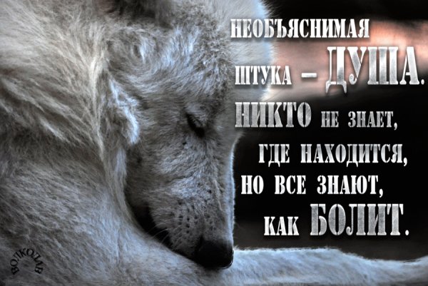 IMG 20170714 174021 1