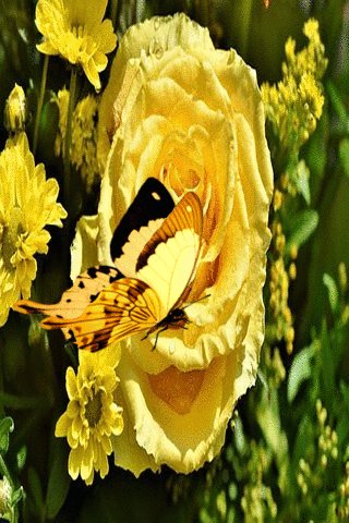 file_74512444