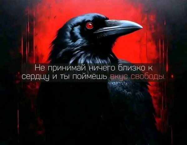 FB IMG 1747585934847