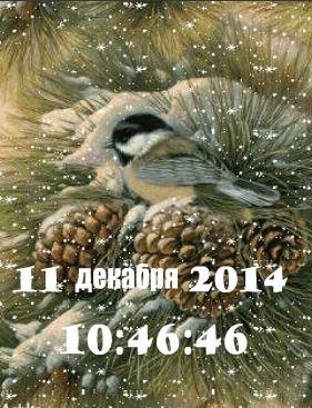 Птичка ани
