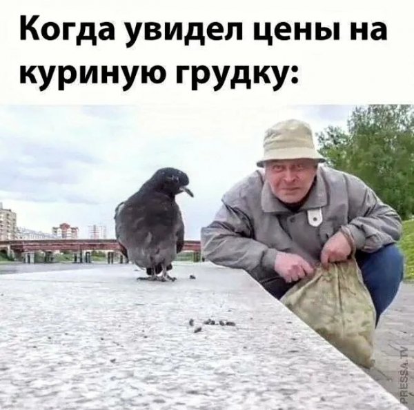 IMG 20260825 164530