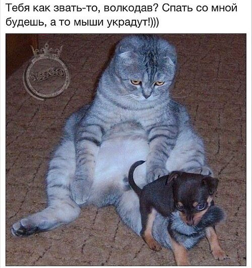 x500