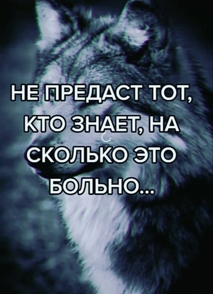 file_99981678