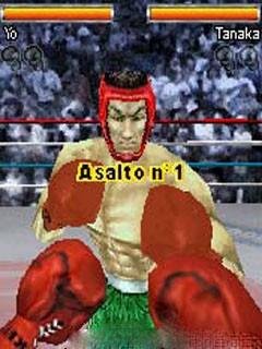 Photo Boxing 3D