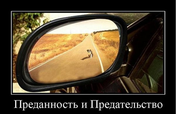 Преданность и предательство