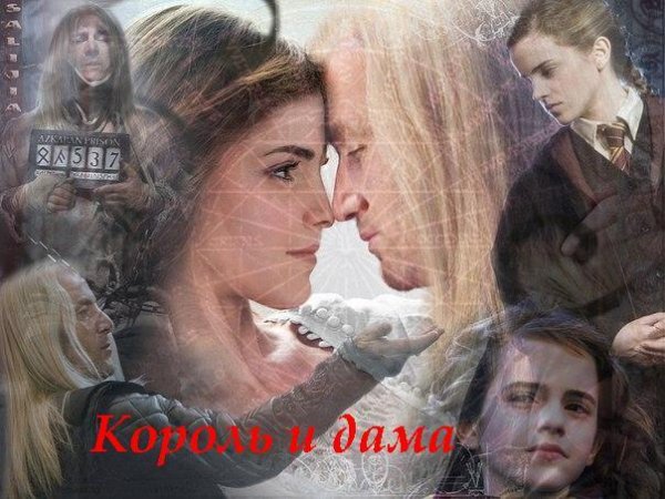 Король и дама (Гермиона и Люциус) (Гарри