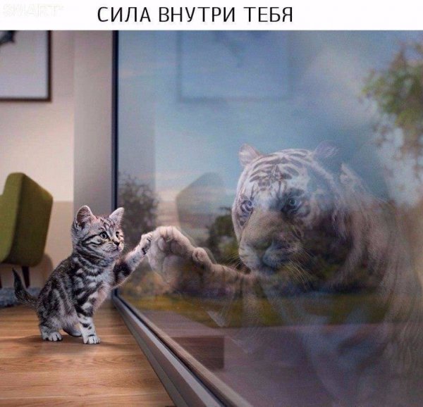 file_89274465