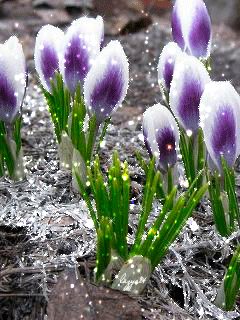 file_51984958