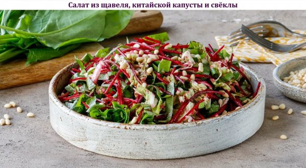 Салат из щавеля, китайской капусты и свёклы