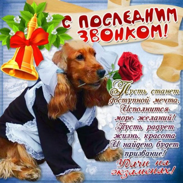 17 С последним звонком!