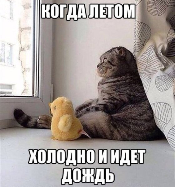 file_51829613