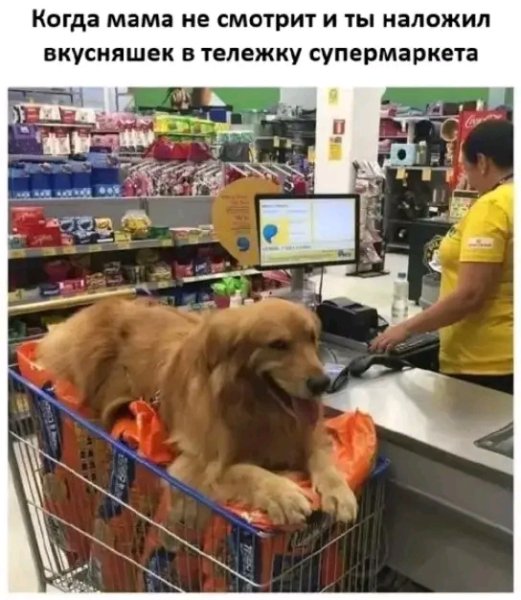 file_103374543