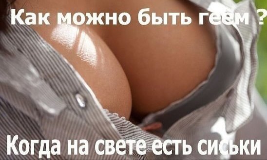 IMG 20260203 211908
