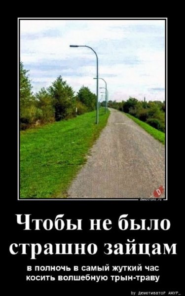 Зайцам не страшно