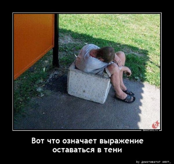 ОСТАВАТЬСЯ В ТЕНИ