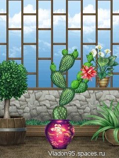 Biosim 2