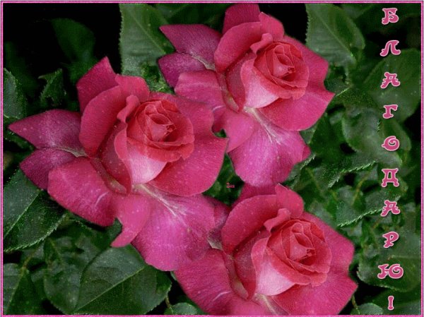 file_74859846