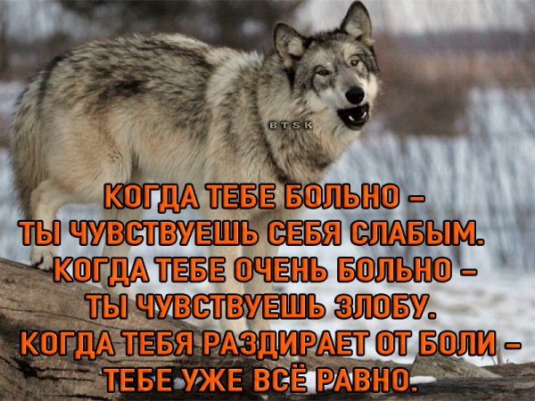 IMG 20190710 122604