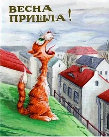 Мартовский кот