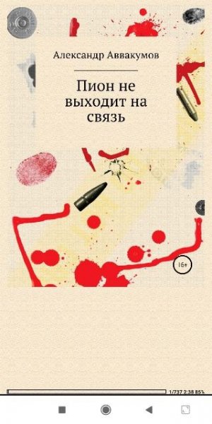 А.Аввакумов. Пион не выходит на связь
