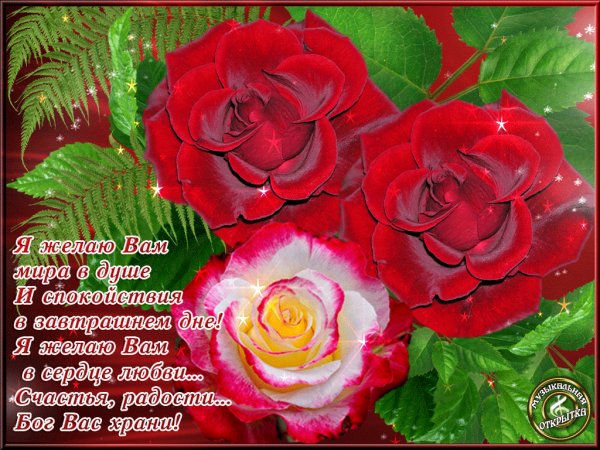file_76178874