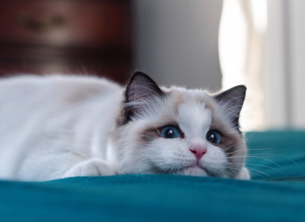 file_101975608