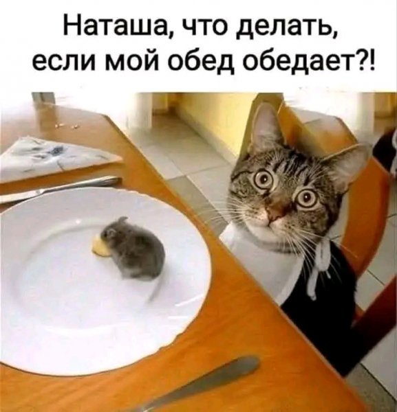 file_103263005